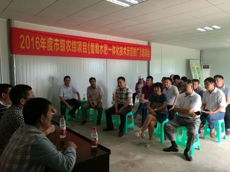 璧山启晨农庄葡萄基地