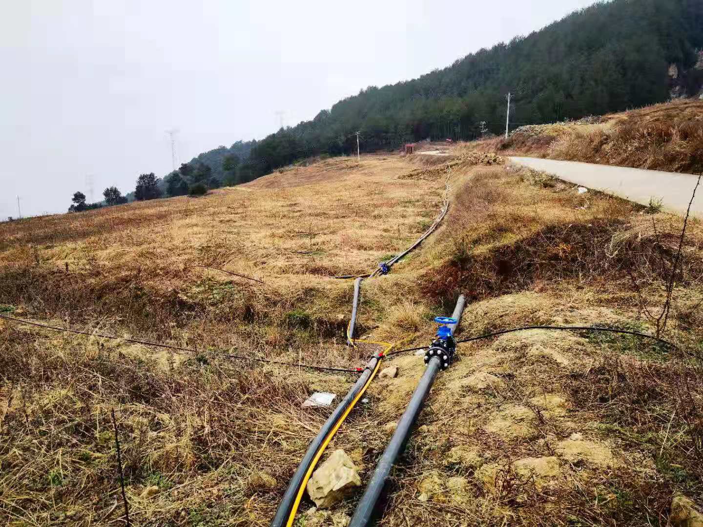四川汉源花椒水肥一体化项目