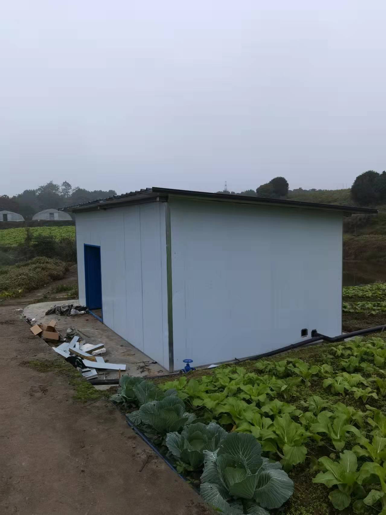 东冒山蔬菜项目